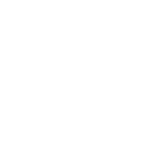 icon-winkelbeveiliging